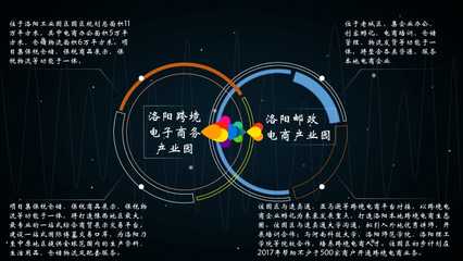 豐趣海淘跨境電商案例分析(文件)