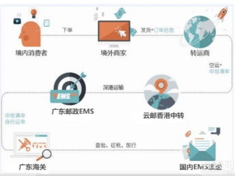 圖說海淘 個人包裹直郵進(jìn)口清關(guān)代理、行郵清關(guān)與深圳物流服務(wù)全解析，助您找到便宜高效的海淘物流方案